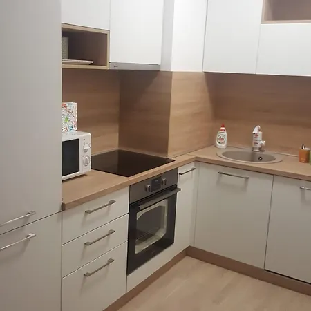 Apartment Il Gatto Budva